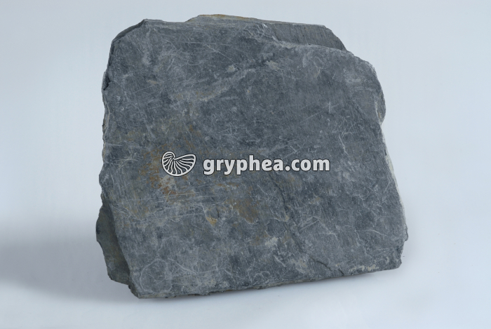 Schiste ardoisier (ardoise) - gryphea.com